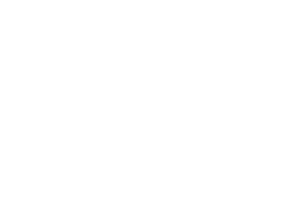 PinkPineMedia Logo
